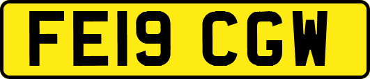 FE19CGW