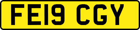 FE19CGY
