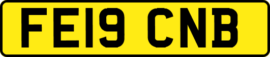 FE19CNB