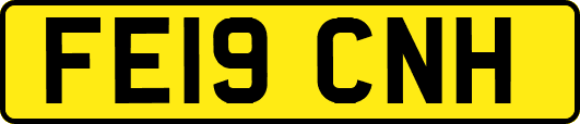 FE19CNH