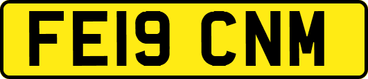 FE19CNM