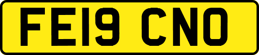 FE19CNO