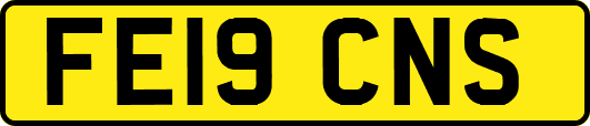FE19CNS