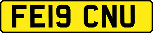 FE19CNU