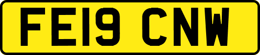 FE19CNW