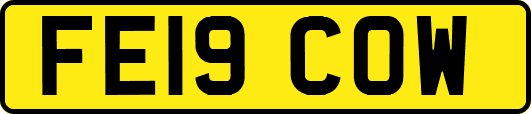 FE19COW