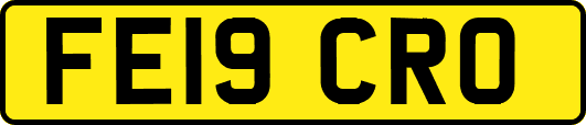 FE19CRO