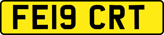 FE19CRT