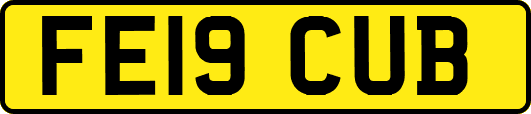FE19CUB