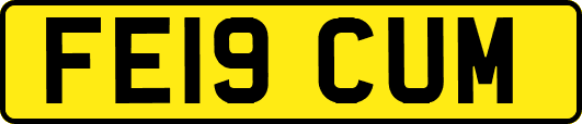 FE19CUM