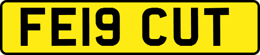 FE19CUT