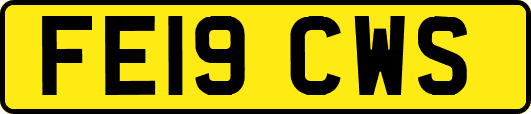 FE19CWS
