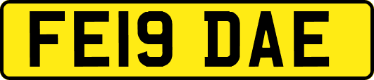 FE19DAE
