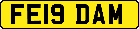 FE19DAM