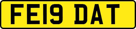 FE19DAT