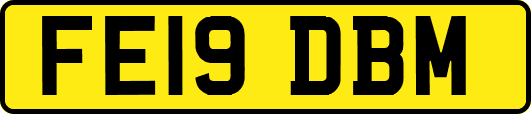FE19DBM