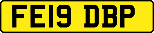 FE19DBP