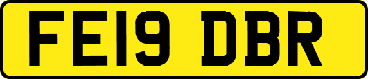 FE19DBR