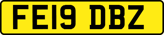 FE19DBZ