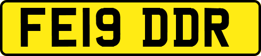 FE19DDR