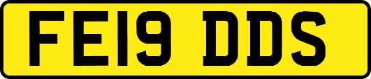 FE19DDS