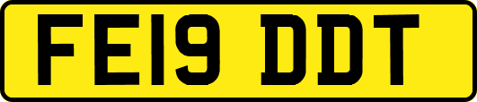 FE19DDT