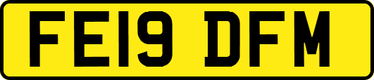 FE19DFM