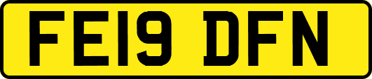 FE19DFN