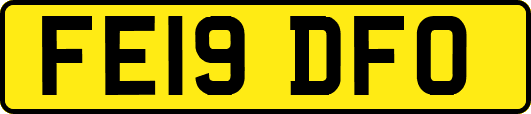FE19DFO