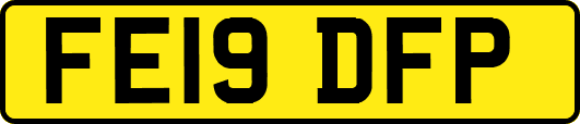 FE19DFP