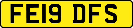 FE19DFS