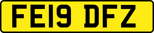 FE19DFZ