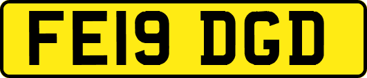 FE19DGD