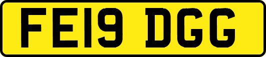 FE19DGG