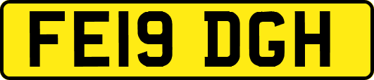 FE19DGH