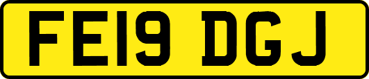 FE19DGJ