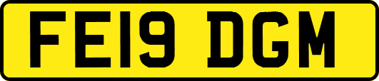 FE19DGM
