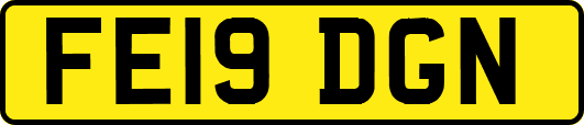 FE19DGN