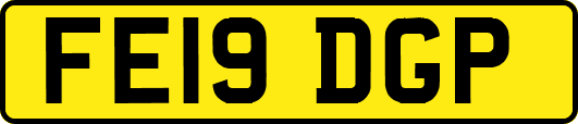FE19DGP