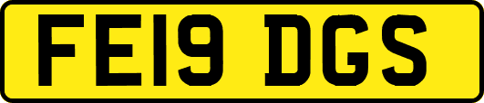 FE19DGS