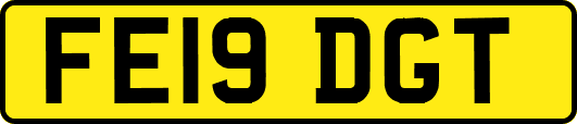 FE19DGT