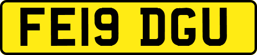 FE19DGU