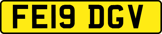 FE19DGV