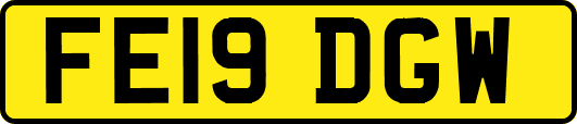 FE19DGW