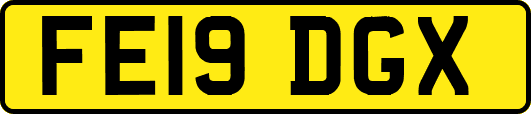 FE19DGX