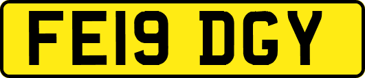 FE19DGY