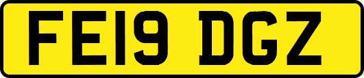 FE19DGZ