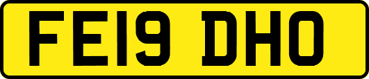 FE19DHO