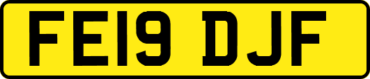FE19DJF