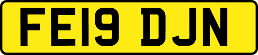 FE19DJN